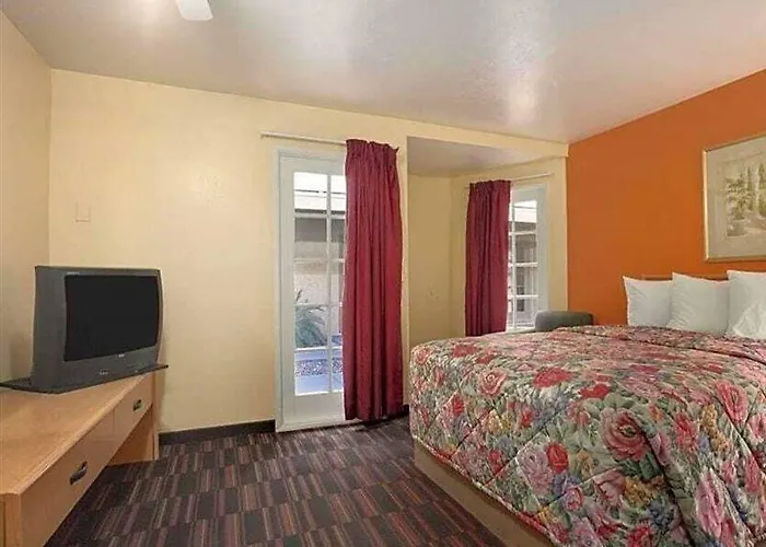 Knights D.m.a.f Area Hotel