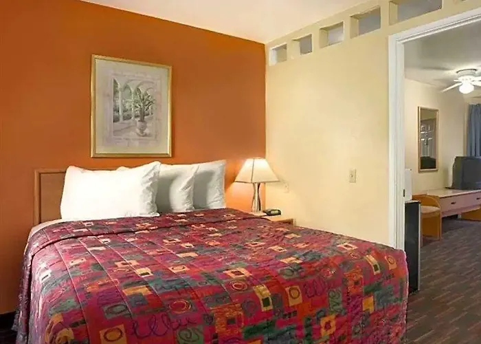 Knights D.m.a.f Area Hotel